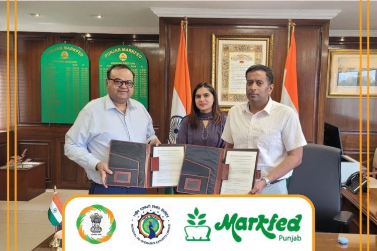 NCEL Expands Cooperative Export Push With Punjab, Ladakh MoUs
