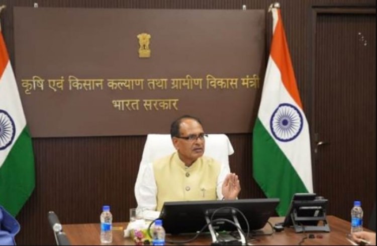 Govt Clears Rs 11,698 Crore MSP Procurement for Rabi Crops Across 3 States, Pulses & Oilseeds Farmers to Gain