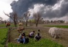 Global Agrifood Systems Under Pressure from Conflict, Climate and Costs: FAO Warns