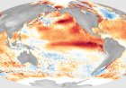 ‘Super El Niño’ Threat Looms as Meteorologists Warn of Extreme Weather Risks