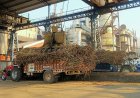 UP Sugar Mills Crush 6.3 Million Tonnes Less Cane, Farmers Lose Rs 2,500 Crore, Yet Data Show Higher Production