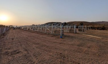 Agrivoltaic Project Launched in Chittoor to Boost Farm Incomes and Rural Energy Infrastructure