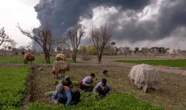 Global Agrifood Systems Under Pressure from Conflict, Climate and Costs: FAO Warns