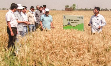 ITC earns first-ever FSA 3.0 certification for wheat, paddy sourcing