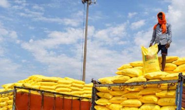 Importance of Self-Reliance in Fertilisers Amid Global Uncertainties