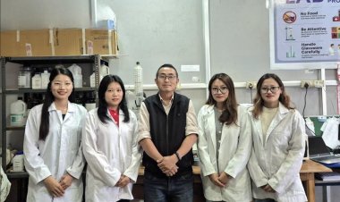 A Weed Turned Into Tool to Aid Drugs, Antibacterial and Cancer Research.