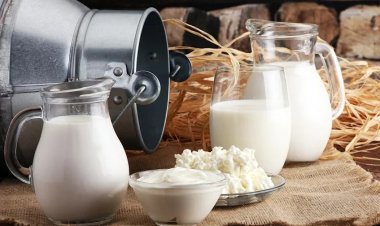 Global Dairy Surplus Pushes USDA to Allocate New Funds to Boost Exports