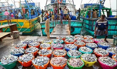 India’s Seafood Exports Hit All-Time High of Rs 72,000 Crore