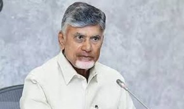 Andhra Pradesh To Launch Mushroom Mission, Aims to Become India’s Largest Producer