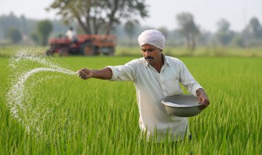 Centre Moves To Curb Fertilizer Use: Nationwide Mapping, Farmer ID-Based Distribution To Check Diversion