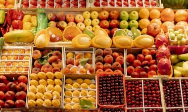 India-New Zealand FTA: Why Official Claims Diverge Sharply in Domain of Agriculture and Dairy