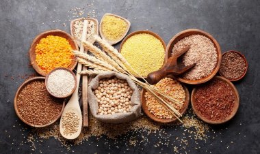Maharashtra Plans Dedicated Seed Law to Empower Farmers, Ensure Quality and Accountability