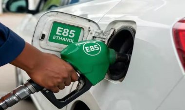 India Proposes Rules to Allow Higher Ethanol-Blended Fuels, Paving Way for Flex-Fuel Vehicles