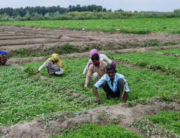 Congress Leader Targets Delhi CM Over ‘Double Standards’ on Farmers’ Issues