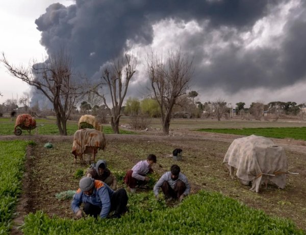 Global Agrifood Systems Under Pressure from Conflict, Climate and Costs: FAO Warns