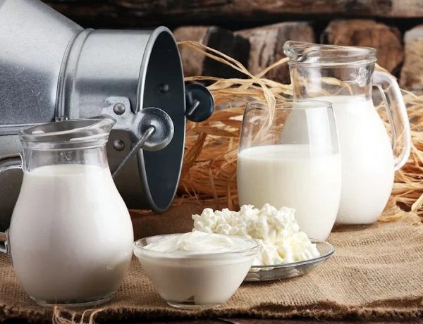 Global Dairy Surplus Pushes USDA to Allocate New Funds to Boost Exports