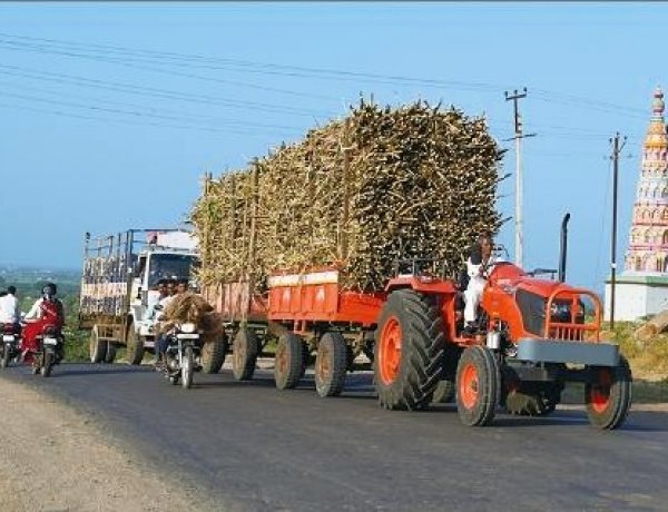 Centre Floats Draft Sugarcane Order 2026, Tightens Khandsari Rules, Raises Mill Distance to 25 Km
