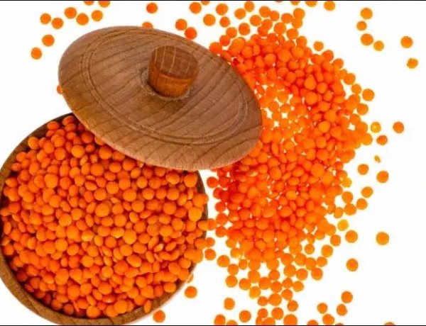 NCCF Initiates Organised Procurement of Masoor in Bihar for the First Time