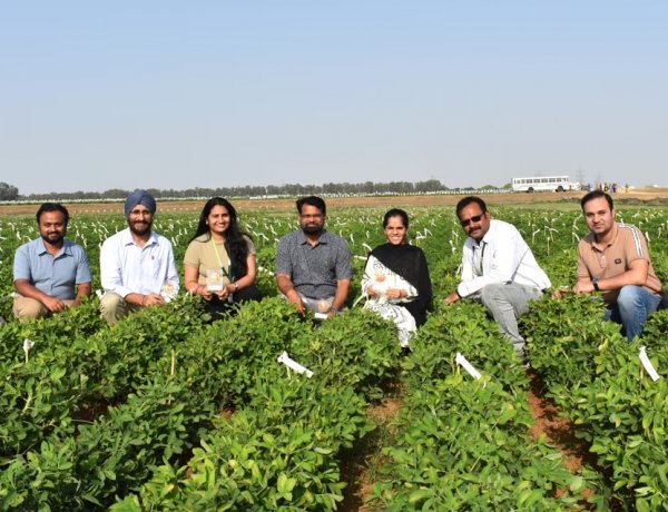 ICRISAT Decodes Genetic Basis of Groundnut Blanchability, Boosting Processing Efficiency