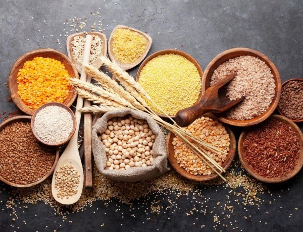 Maharashtra Plans Dedicated Seed Law to Empower Farmers, Ensure Quality and Accountability