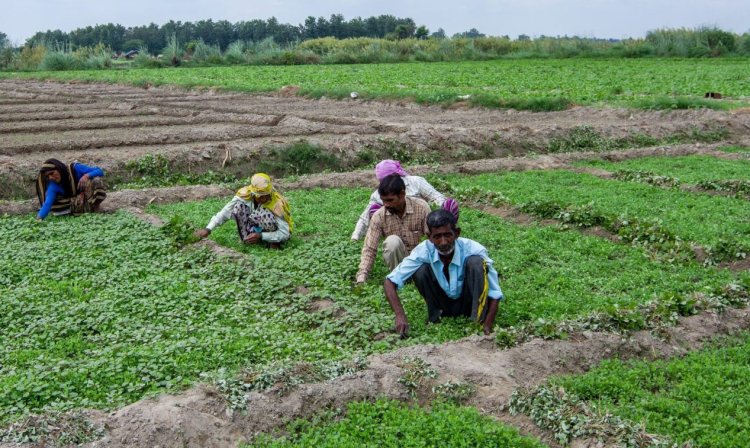 Congress Leader Targets Delhi CM Over ‘Double Standards’ on Farmers’ Issues