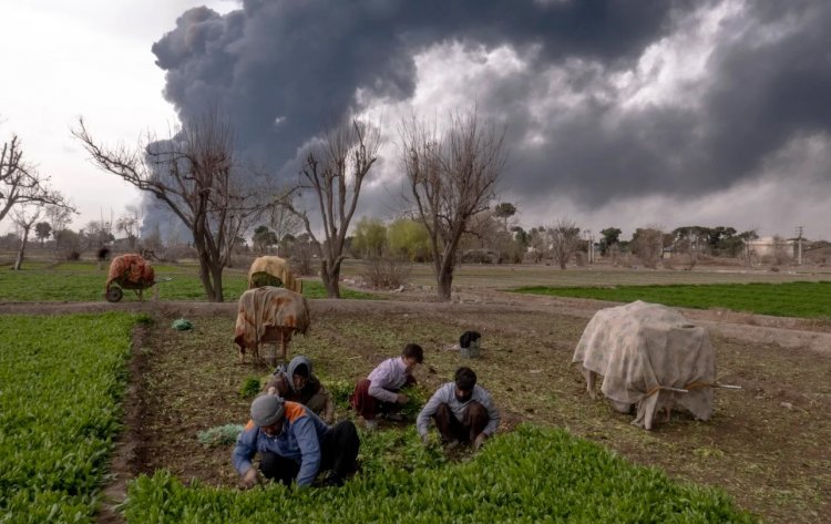 Global Agrifood Systems Under Pressure from Conflict, Climate and Costs: FAO Warns