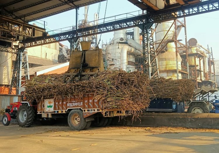 UP Sugar Mills Crush 6.3 Million Tonnes Less Cane, Farmers Lose Rs 2,500 Crore, Yet Data Show Higher Production