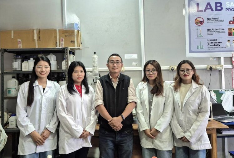 A Weed Turned Into Tool to Aid Drugs, Antibacterial and Cancer Research.