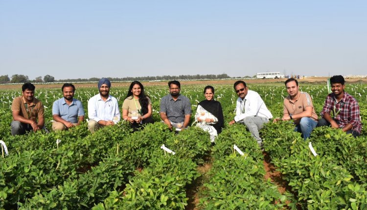 ICRISAT Decodes Genetic Basis of Groundnut Blanchability, Boosting Processing Efficiency