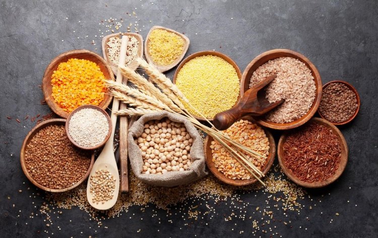 Maharashtra Plans Dedicated Seed Law to Empower Farmers, Ensure Quality and Accountability