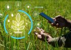 Global Public Agricultural R&D  Investment Surpass $50 Billion: FAO