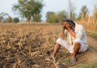 India Records One Farmer or Farm Labourer Suicide Every Hour, NCRB Data