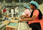 Farm to Factory: How Chhattisgarh Is Turning Its Agri Abundance into a Food Processing Opportunity