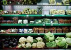 FAO Flags Food Safety Risks in Rising Use of Recycled Plastics for Food Packaging
