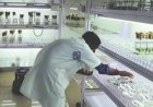 ICRISAT and CIMMYT Launch New Initiative for Climate-Resilient Crops in India and Africa
