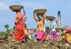 Unemployment Rises in April, Rural India Faces Job Crisis As Well As Labour Participation Rate