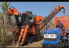 Machine Harvesting Gains Ground in Sugarcane in Maharashtra, But Not in Uttar Pradesh