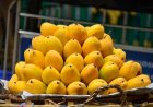 Scientists Identify Ideal Temperature to Keep Mangoes Fresh for Longer