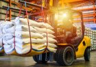 India's Fertilizer Crossroads: From Crisis to Competitive Advantage