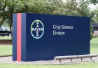 Bayer CropScience Reports 20% Rise in FY26 Profit, Revenue Growth Remains Steady