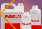 Vermont Bans Paraquat as India Reviews Herbicide Amid Health, Farmer Distress Debate
