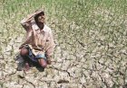 Finance Ministry Flags El Niño Risk to Kharif Crops Despite Strong Food Stocks and Reservoir Levels