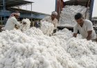 Govt Exempts Import Duty on Cotton Till Oct. 31, Relief for Textile Industry but Concerns for Farmers