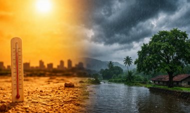 India Likely to See Above-Normal Rainfall in May 2026; Heatwave Days to Rise in Several Regions: IMD