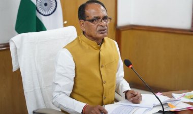 Centre Approves Sunflower Procurement in Karnataka, Raises Gram Procurement Limit in Maharashtra