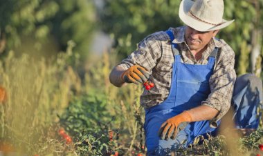 Fearing Price Drops, US Farmers Shun Data Sharing with U.S. Department of Agriculture