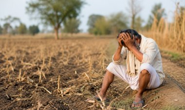 India Records One Farmer or Farm Labourer Suicide Every Hour, NCRB Data