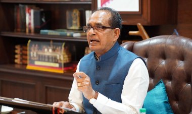 Shivraj Singh Chouhan Orders Expert Task Force to Tackle Litchi Stink Bug Crisis in Bihar