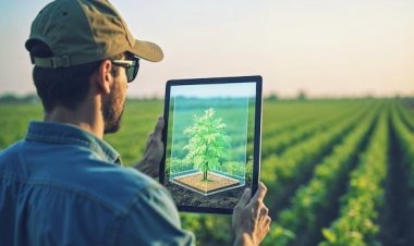 ITC Claims AI-Powered ‘Crop Doctor’ Enables Real-Time Disease Detection in 70 Crops