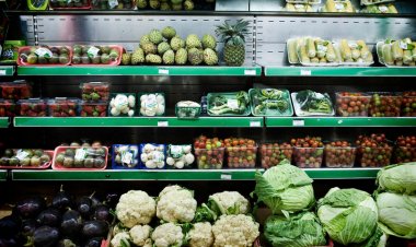 FAO Flags Food Safety Risks in Rising Use of Recycled Plastics for Food Packaging